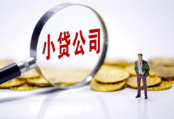 西安33个人借贷-西安33小额贷款官网-西安33身份证贷款