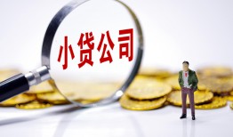 西安33个人借贷-西安33小额贷款官网-西安33身份证贷款