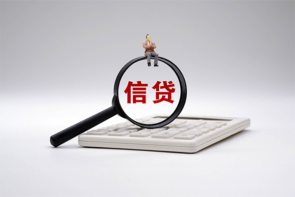 西安33大额短借